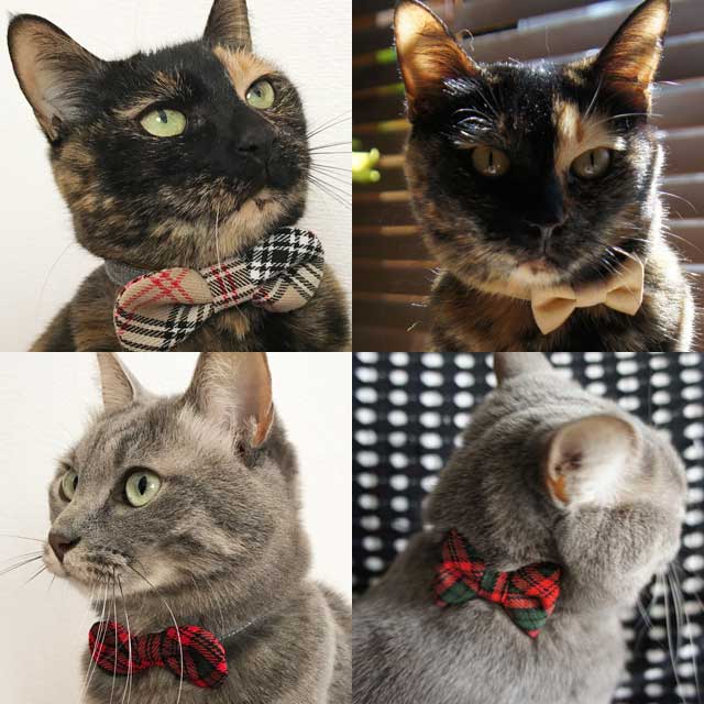 maru-ribon7